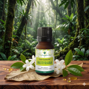 Huile essentielle Ravintsara Homeopharma ambiance foret humide Madagascar