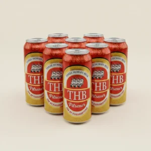 THB Biere pack 6 canettes 33cl Madagascar packshot